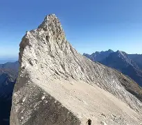 乐鱼官网-俄罗斯主场击败斯洛文尼亚,实力有增加吗